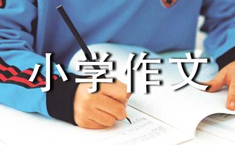 水立方嬉水乐园游玩小学作文400字（通用24篇）