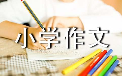 （优）我的房间小学作文15篇