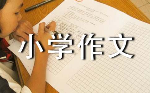 最新小学作文划船