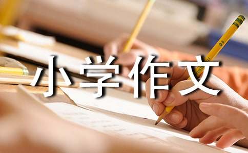 喧闹的城市小学作文（精选47篇）