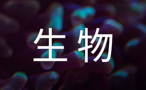 生物技术专业求职信模板