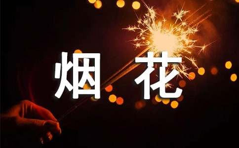 烟花爆竹安全简报（精选13篇）