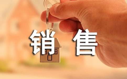 项目生产、开发与销售可行性研究报告格式