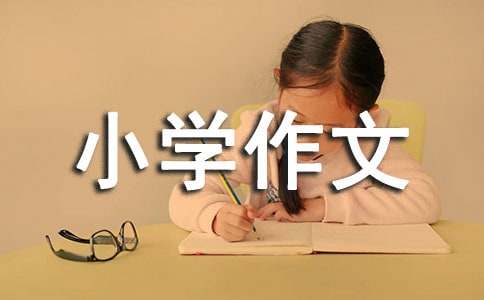 我的双休日小学作文（通用29篇）