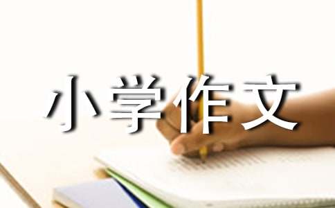 我和长笛小学作文（精选17篇）