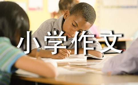 【推荐】小学作文23篇