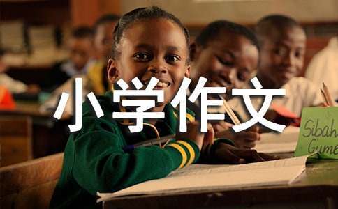 我爱中国结小学作文400字（精选23篇）