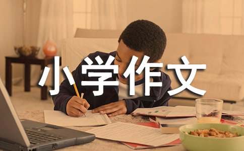 环山小学作文300字