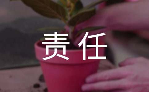 个人主体责任落实情况工作汇报（精选10篇）