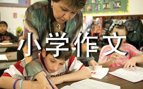 未来的游乐场小学作文（通用6篇）