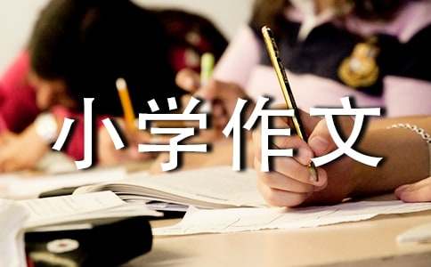 白马涧游玩小学作文300字（精选20篇）