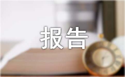 关于预算审计报告范文