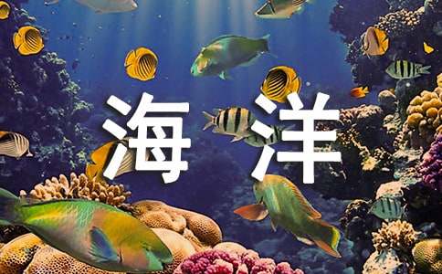 纪录片海洋观后感