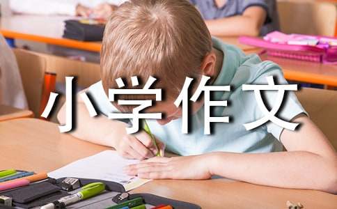 我知道了什么小学作文（通用19篇）