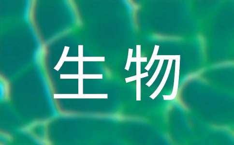 生物医学工程专业职业生涯规划书范文（精选5篇）