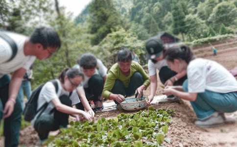 大学生三下乡社会实践个人总结