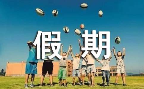 大学生假期社会实践活动个人总结