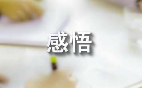 寒假社会实践个人感悟