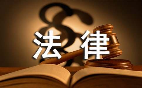 法律专业社会实践心得